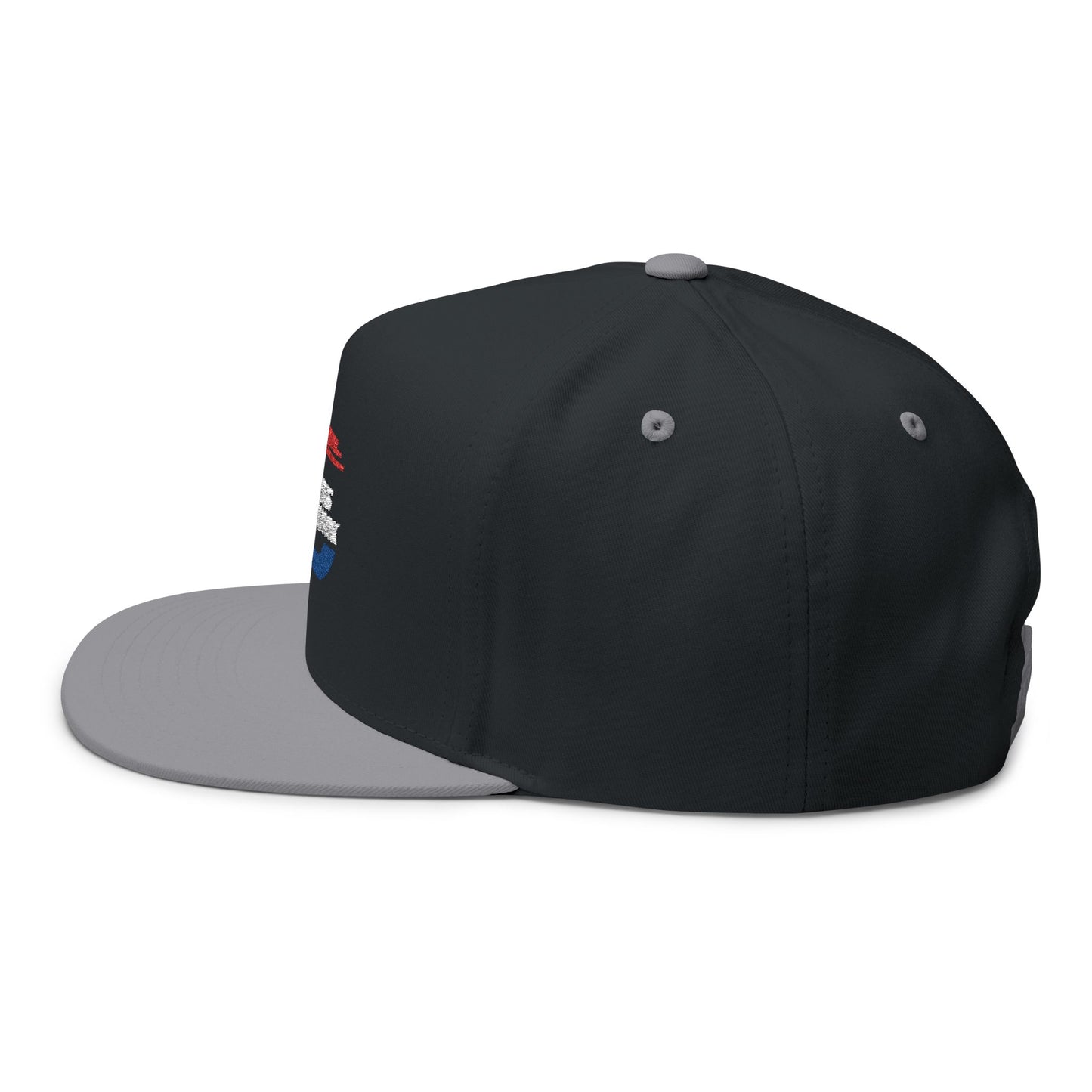 LISN Flat Bill Cap