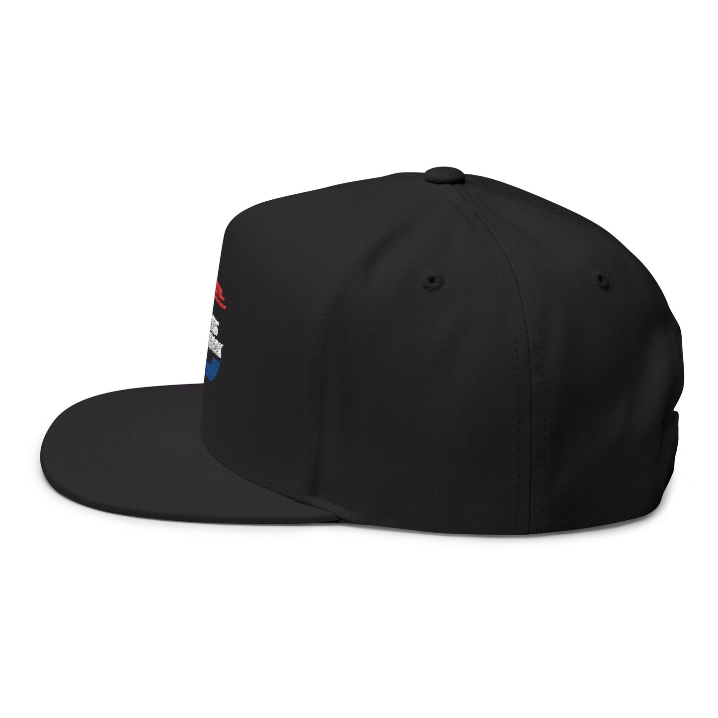 LISN Flat Bill Cap