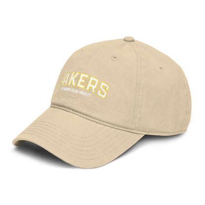 Oswego Women's Club Hockey Vintage Cap - Wordmark