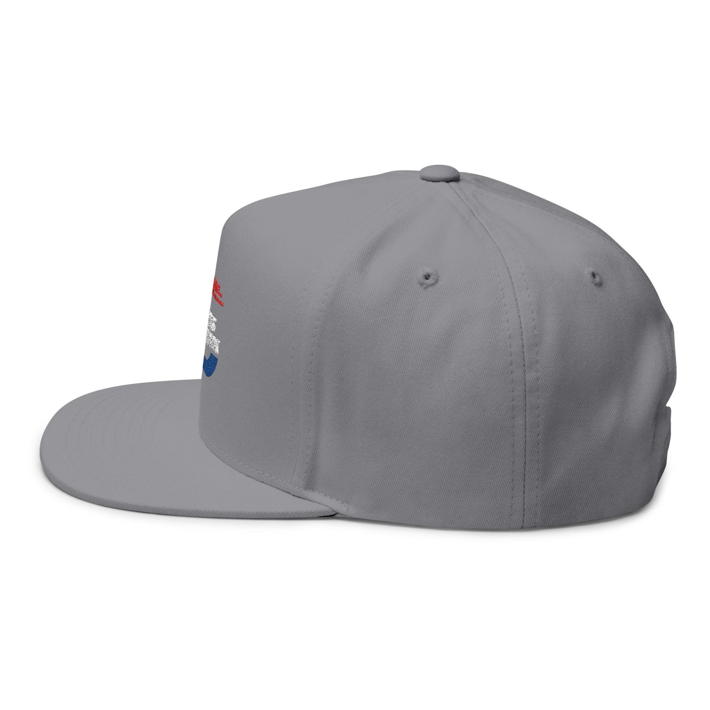 LISN Flat Bill Cap
