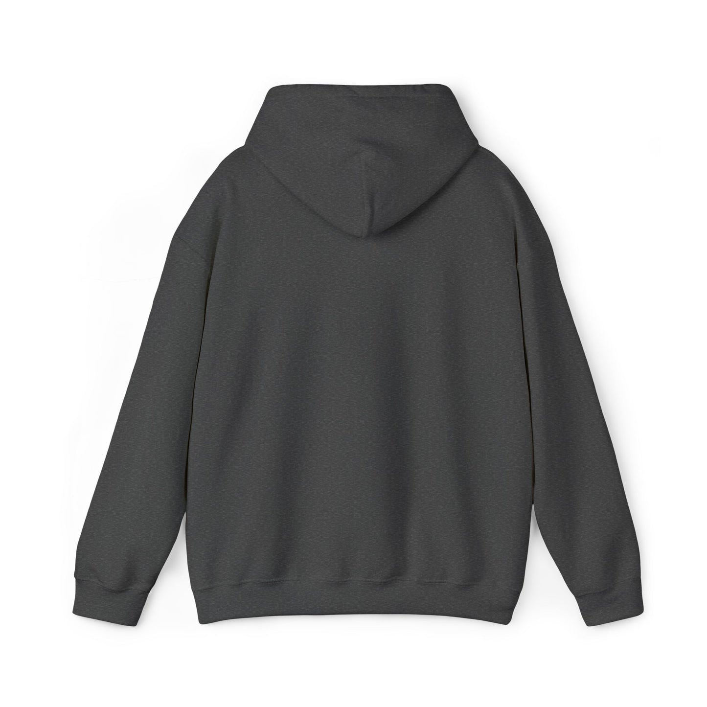 Herricks Fencing Hoodie