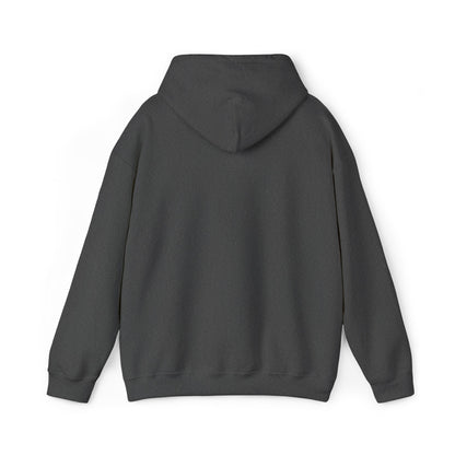 Herricks Fencing Hoodie